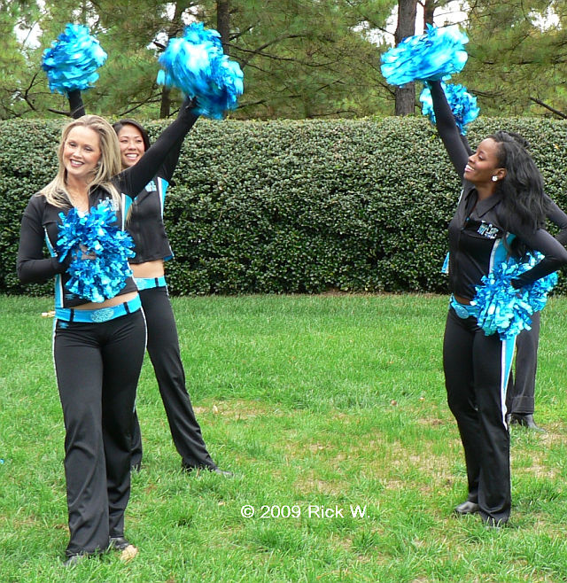 Carolina Panthers Top Cats cheerleaders during the NFL football game  between the Green Bay Packers and the Carolina Panthers on Sunday, Nov. 8,  2015 in Charlotte, NC. Jacob Kupferman/CSM *** Please Use