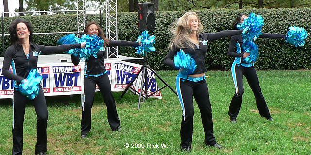 Carolina Panthers Top Cats cheerleaders during the NFL football game  between the Green Bay Packers and the Carolina Panthers on Sunday, Nov. 8,  2015 in Charlotte, NC. Jacob Kupferman/CSM *** Please Use