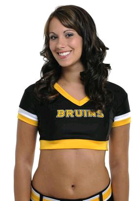 bruinsice