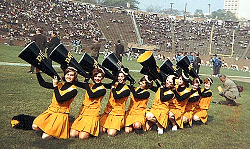 steelers cheer outfit