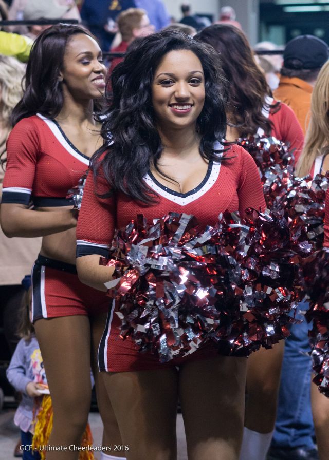 The 2015-2016 Atlanta Falcons Cheerleaders