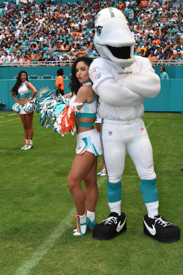 Honors For Miami Dolphins Cheerleaders – Ultimate Cheerleaders